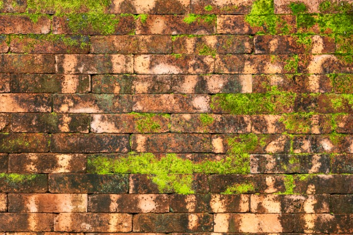 Siding and brick surfaces